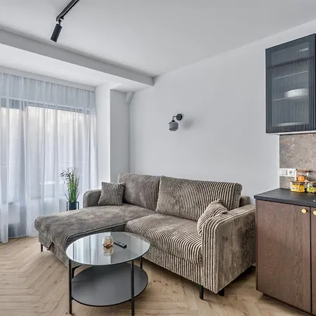 Lisi Zakatek - W Zakopanem Apartman Zakopane